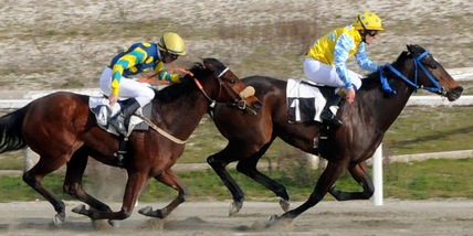 Troppo caldo? Le regole Mipaaf