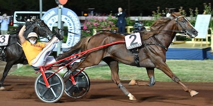 Rieccoli, un anno dopo