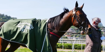 Alrajah One e tanta Italia