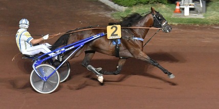 Due vincitori in fotocopia