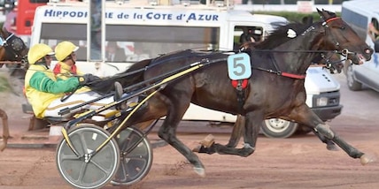 Vivid Wise As va per il tris