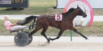 Non solo Vivid a Cagnes