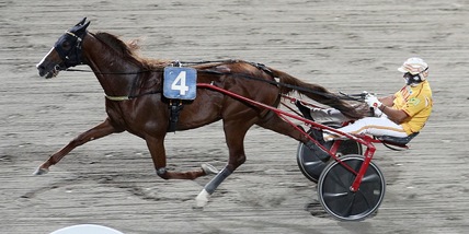 Vernissage Grif con l'8 e il 5