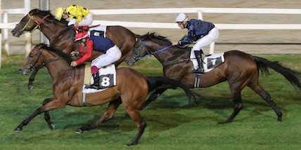 A Varese le giornate di Milano