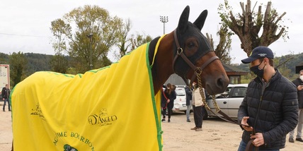 Lotteria, aereo e biglietti