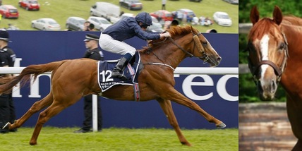 Sarà Ruler of... Italy