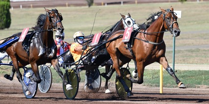 Derby, batterie "live”