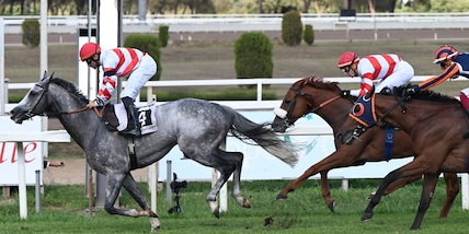 Milano tra dubbi e nomine