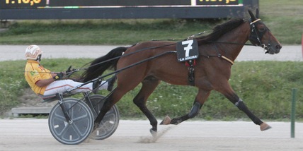 Bologna apre il trittico