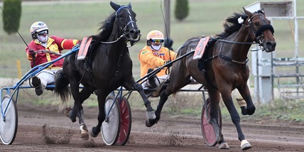 Un Distillato di Criterium