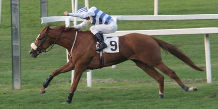 Americanism, nuova carriera