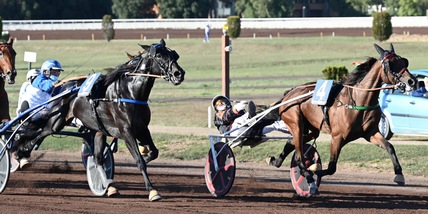 Oaks nel segno di Bellei