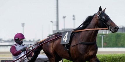 Imbattuti in passerella