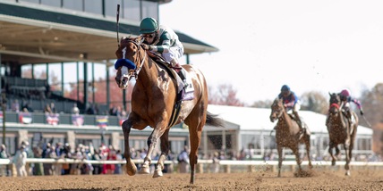 Baffert marcato stretto