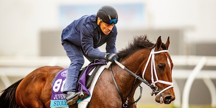 È tempo di Breeders' Cup