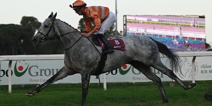 Skalleti a spasso nel Roma