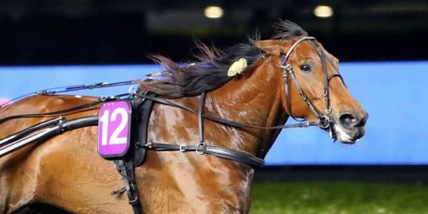 Ampia Mede per la S(etti)m(a)