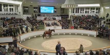 Godolphin, la carica delle 101