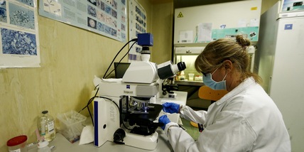 "Il Covid ha fatto abbassare l'attenzione sull'Hiv in Italia"