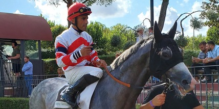 Giglio Sardo più francese