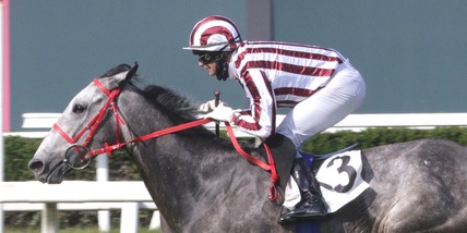 Monteriso torna "on the road”