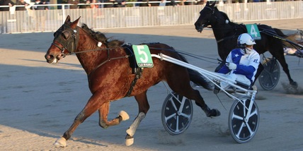 Usain Toll versione lusso