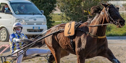 Circolari e polemiche al trotto
