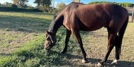 Una petizione contro il Mipaaf