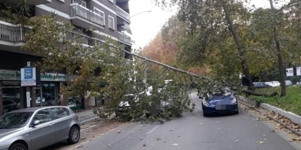 Roma, albero cade su tre auto e finisce su un terrazzo
