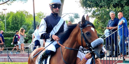 Flamingo Girl in crisi di identità