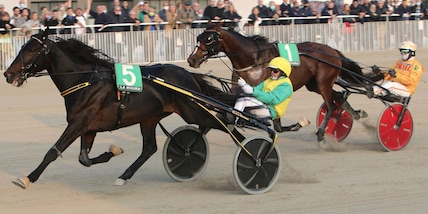 Raffin reclutato per Vivid Wise