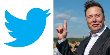 Elon Musk rivoluziona Twitter: vuoi la spunta blu? Devi pagare di più. E partono i licenziamenti