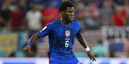 Musah la bandiera di Castelfranco