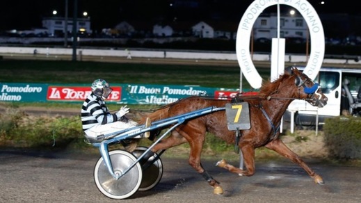 Ippica, Sceicco svetta anche nel Città di Napoli