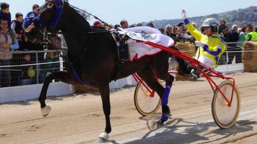 Ippica, grande successo per la Lungomare Trot Race