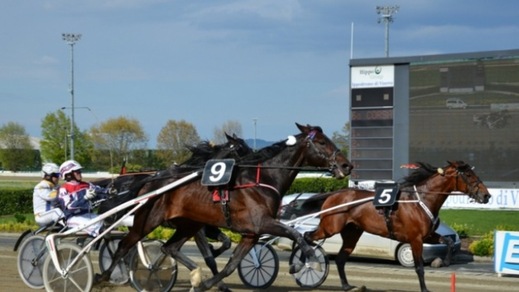 Ippica, tempo di Pace nel Costa Azzurra