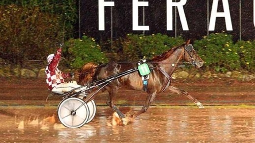 Ippica, i confermati del 66º GP Lotteria