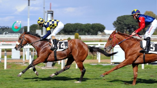 Ippica, gli schieramenti di Parioli e Regina Elena