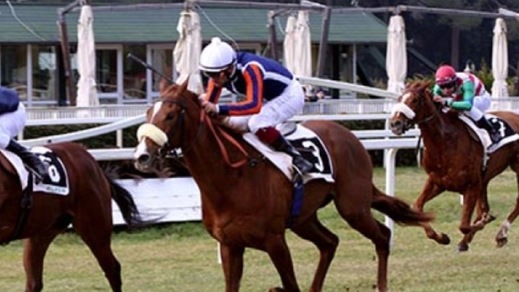 Ippica, colpo di scena: niente Roma per Dettori