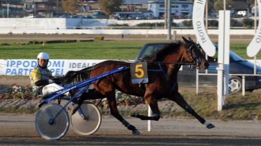 Ippica, Elwood Medium per dieci a Padova