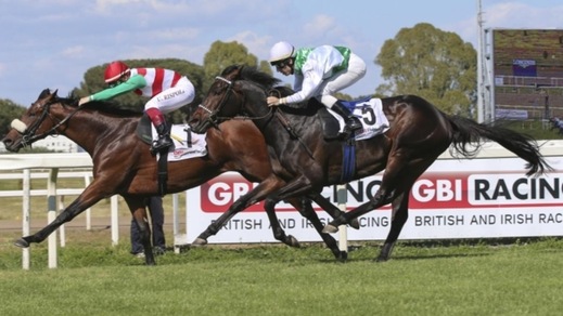 Ippica, il Repubblica che non t'aspetti