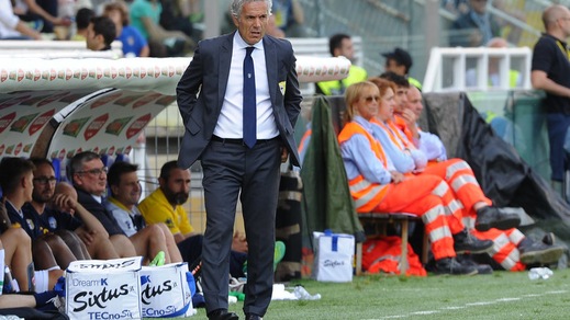 Donadoni: «Anno difficile, non c'è nulla di concreto»