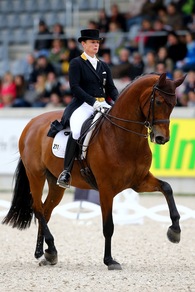 Maltrattò il cavallo fino alla morte: radiato atleta olimpico