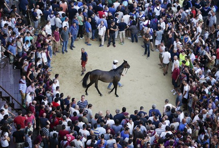 Palio di Siena, vince la Torre. Successo dopo quasi 10 anni