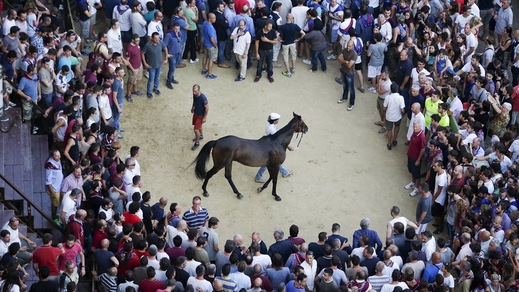 Palio di Siena, vince la Torre. Successo dopo quasi 10 anni