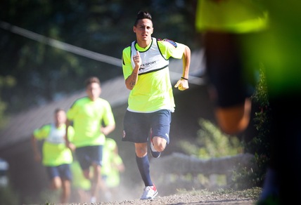 Bologna, in campo in giallo in Trentino