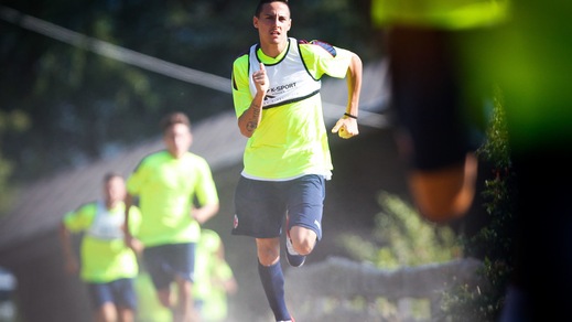 Bologna, in campo in giallo in Trentino