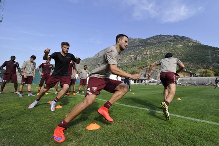 Anche la Roma su Maksimovic. Il Toro chiede Ljajic