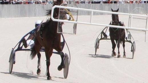 Ippica, tutta la Nuova Sbarra a “Endo” Botti e Cristiana Brivio