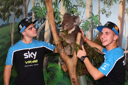 La MotoGP sbarca in Australia. I piloti con koala e canguri